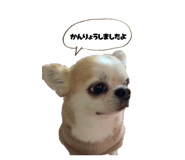 842325742