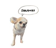 842325747