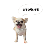 842325748
