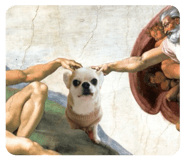 842325751