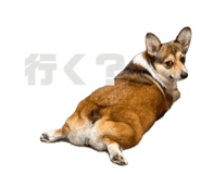 842325779