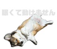 842325781