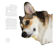 842325787