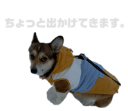 842325788