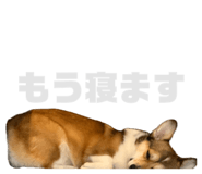 842325790