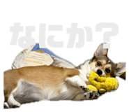 842325791