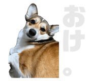 842325795