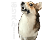 842325797