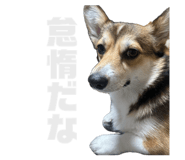 842325800