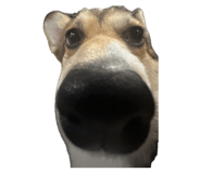 842325803