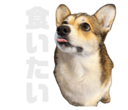 842325805