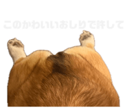 842325807