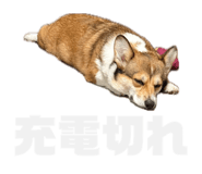 842325808