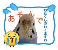 842325937