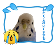 842325943
