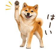 842326179
