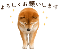 842326184