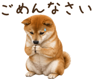842326192