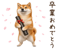 842326198