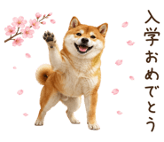 842326199
