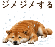 842326204