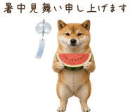 842326207