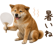 842326208
