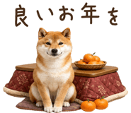 842326214