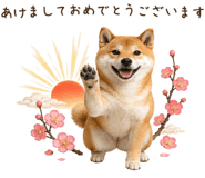842326215