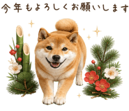 842326216