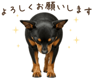 842326520