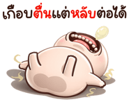 842326555