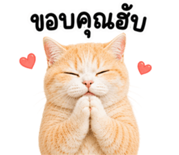 ❤️ส้มส้ม ตัวตึง❤️ รูปที่ 2