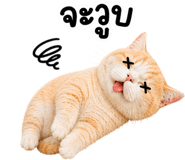 842327115