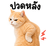 842327117
