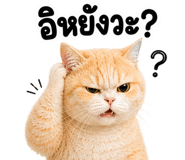 842327123