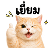 842327126