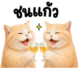 ❤️ส้มส้ม ตัวตึง❤️ รูปที่ 17