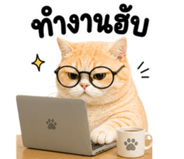 ❤️ส้มส้ม ตัวตึง❤️ รูปที่ 20