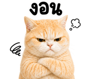 842327133