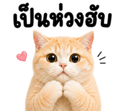 ❤️ส้มส้ม ตัวตึง❤️ รูปที่ 29