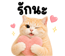 ❤️ส้มส้ม ตัวตึง❤️ รูปที่ 30