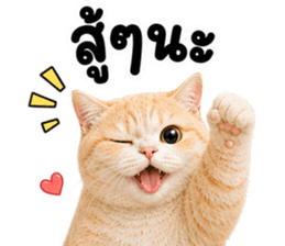 ❤️ส้มส้ม ตัวตึง❤️ รูปที่ 35
