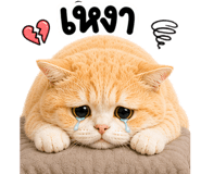 842327148