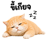 842327151