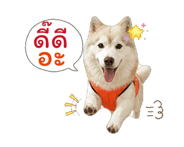 842328093