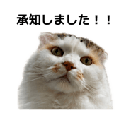 842328981