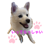 842329244