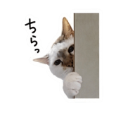 842329471