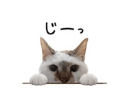 842329473